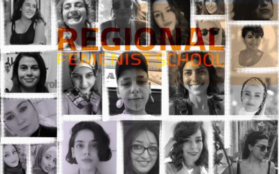 Regional Feminist School- case study