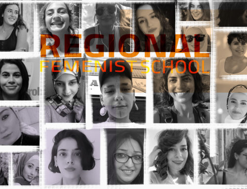 Regional Feminist School- case study
